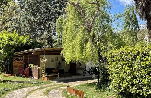 Vescovado House | Ancient Residences Bishopric A House in the Woods