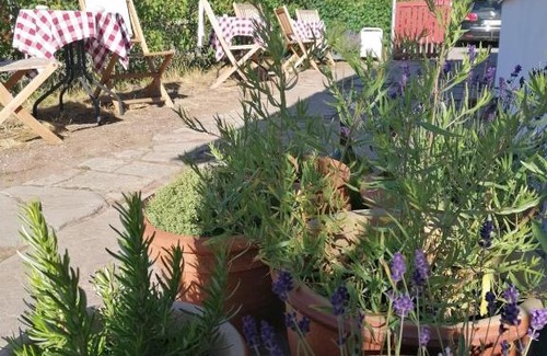 Storlinge Bed & Breakfast | Andelsmejeriet Bed and Breakfast