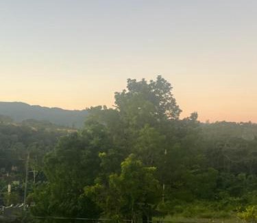 Montego Bay House | Andeve's tranquil beautiful home