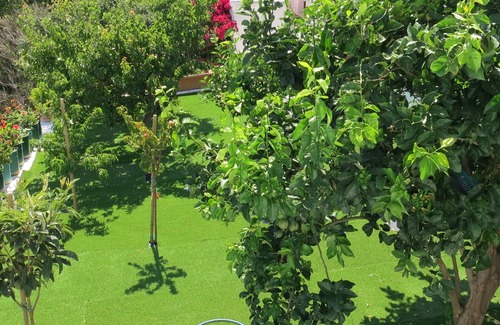 Pitrofos House | Andoni's House in Pitrofos Andros island