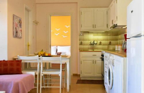 Paleopolis Apartment | Andros Apartment - Lasia
