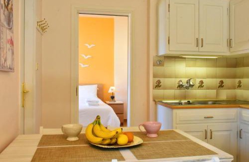 Paleopolis Apartment | Andros Apartment - Lasia