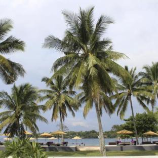 Sigar Penjalin Resort | Anema Wellness Villa & Spa Gili Lombok - Diving Center PADI