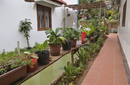 Sangkat Sla Kram House | ANGKOR DINO B&B, PRIVATE 8 BEDROOM POOL VILLA NEAR ANGKOR PARK