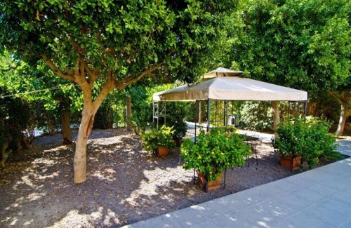 Misterbianco House | Anna and Gaetano CIR 19087029C222006
