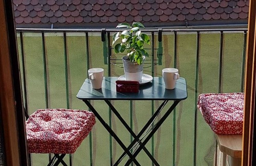 Annecy Old Town Apartment | Annecy, loft attic, old town, 3mns from the lake, balcony