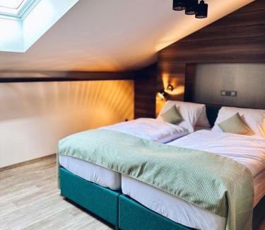 Rymarov House | ANPELA