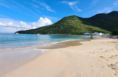 Anse Marcel Apartment | AnseCaribe Gorgeous 2 bedrooms Beach Access&Marina
