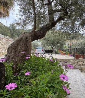 Qeparo House | Antonia Rooms Qeparo