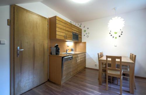 Bartosovice v Orlickych horach Apartment | Apartmány Barto21