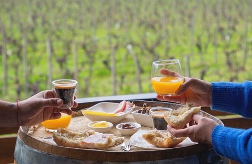 Santa Cruz Cabin | Apalta Lofts, enjoy the vineyards in front of the vineyards