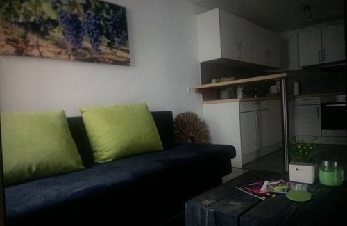 Neustadt an der Weinstrasse Apartment | Apartment (9) renovated and lovingly decorated.