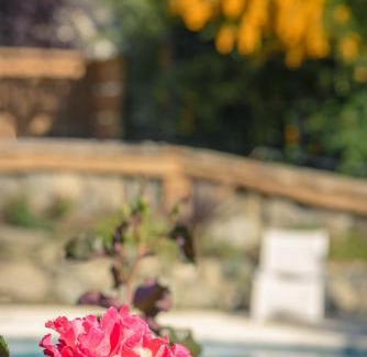 Lanin National Park Apartment | Apart Hotel La Bora