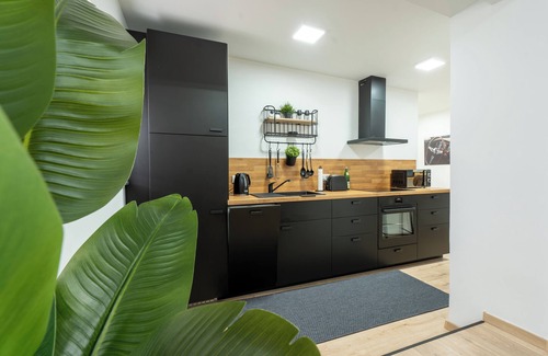 Hamm-Heessen Apartment | Apart79 Modern Industrial Design 3Room with Terrace and Garden Free Parking