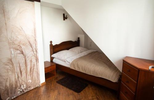 Ostrowiec Swietokrzyski Apartment | Apartament Rustykalny