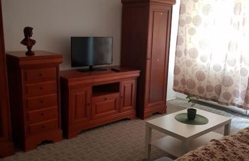 Emanoil Gojdu Apartment | Apartament încântător,situat în centrul oraşului