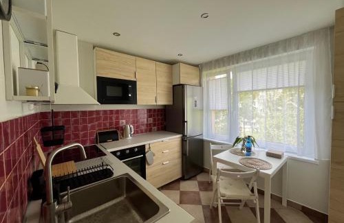 Osiecznica Apartment | Apartament Świętoszów