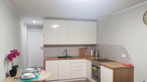 Osiecznica Apartment | Apartament Świętoszów