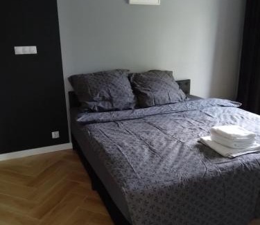 gmina Łyszkowice Apartment | Apartament 1