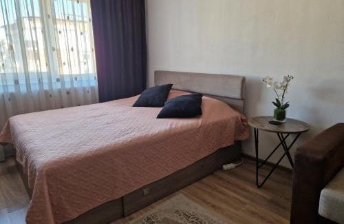 Campulung Apartment | Apartament 2 camere Campulung Muscel