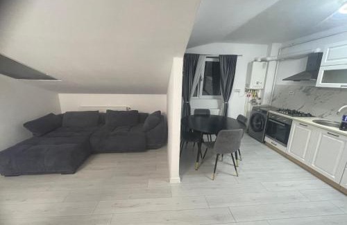 Tirgu Jiu Apartment | APARTAMENT 2 CAMERE TIRGU JIU