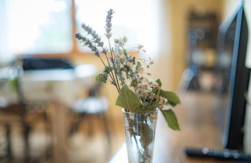 Gombren Apartment | Apartament a Gombrèn Girona amb vistes a la natura