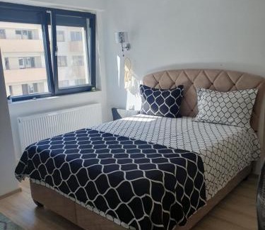 Ramnicu Valcea Apartment | Apartament Castelul Bran