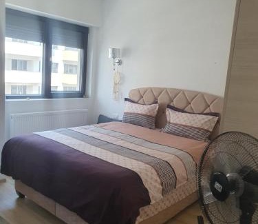 Ramnicu Valcea Apartment | Apartament Castelul Bran
