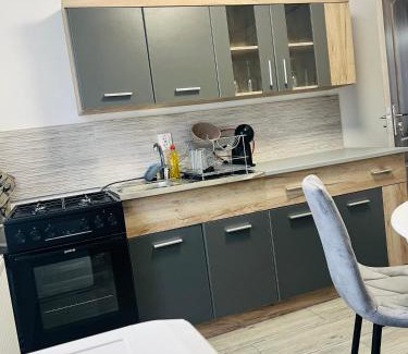 Mosnita Noua Apartment | Apartament central