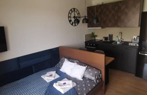 Bialystok Apartment | Apartament Centrum Bocian