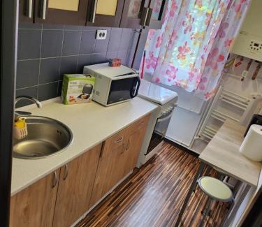 Gara de Nord Apartment | Apartament Cochet Cozy Gara De Nord Metrou