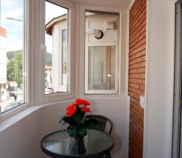 Campulung Moldovenesc Apartment | Apartament David