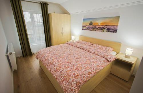 Sannicolau Mare Apartment | Apartament Domina - RO,EN,FR-Certificat clasificare 3 stele, Ministerul Turismului