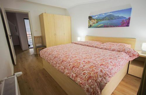 Sannicolau Mare Apartment | Apartament Domina - RO,EN,FR-Certificat clasificare 3 stele, Ministerul Turismului