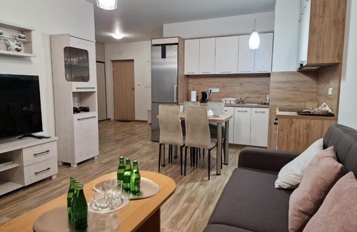 Busko-Zdroj Apartment | Apartament Elżbieta
