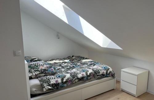Tarnow Apartment | Apartament Franciszkańska 3