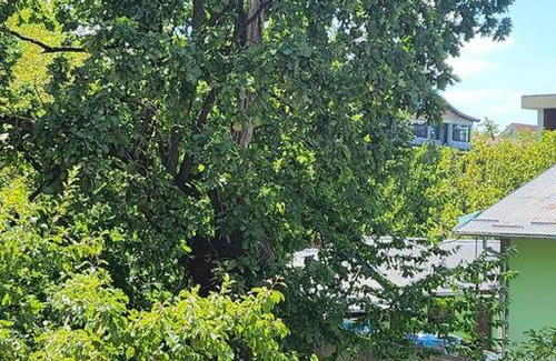 Pitesti Apartment | Apartament liniștit La Pădure