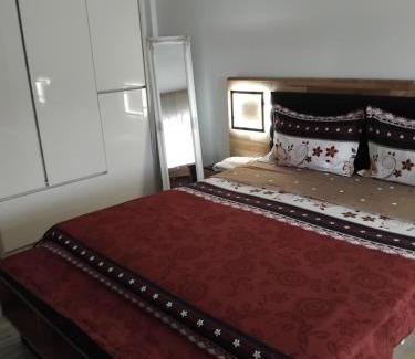 Tirgu Neamt Apartment | Apartament Manu Tg Neamt