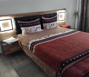 Tirgu Neamt Apartment | Apartament Manu Tg Neamt