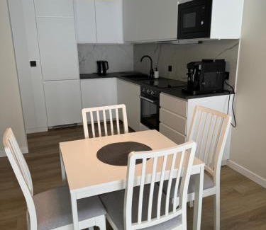 Centrum Apartment | Apartament Moniuszki
