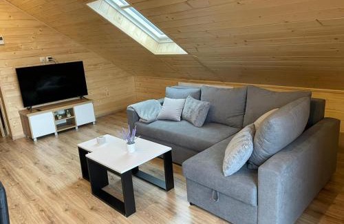 Kroscienko nad Dunajcem Apartment | Apartament na poddaszu u Reni