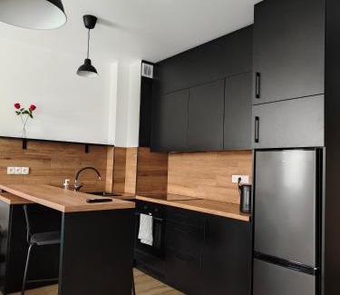 Busko-Zdroj Apartment | Apartament Nero Verde