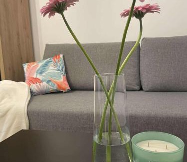Olesno Apartment | Apartament Olesno Centrum