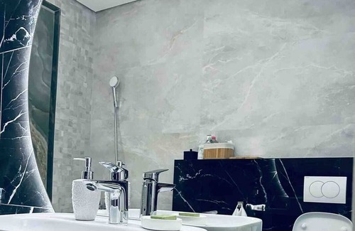 Timisoara Apartment | Apartament/penthouse SSARA