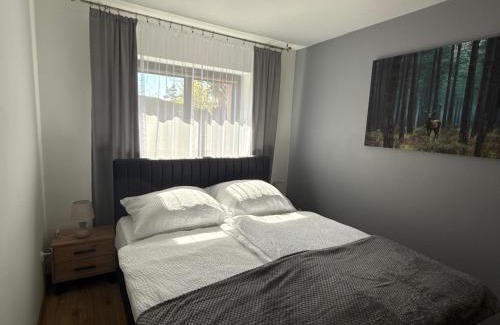 Kudowa Zdroj Apartment | Apartament Pod Leśnym Niebem