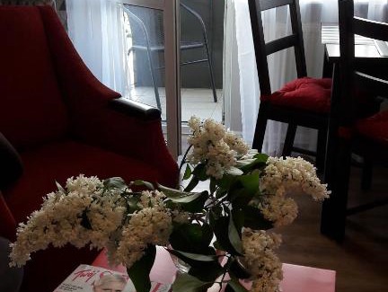 Siedlce Apartment | Apartament przy Parku