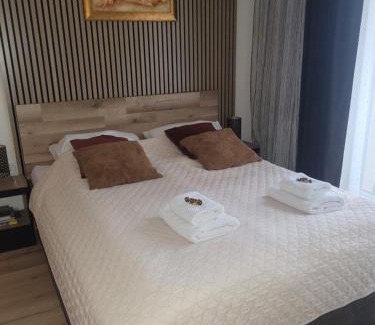 Elblag Apartment | Apartament przy Starówce z tarasem