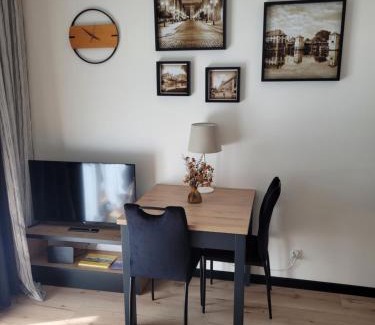 Elblag Apartment | Apartament przy Starówce z tarasem