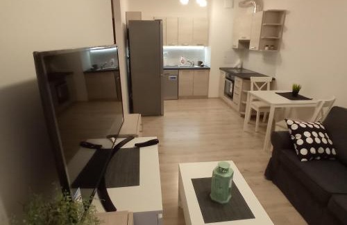 Lublin Apartment | Apartament Ruczaj 2
