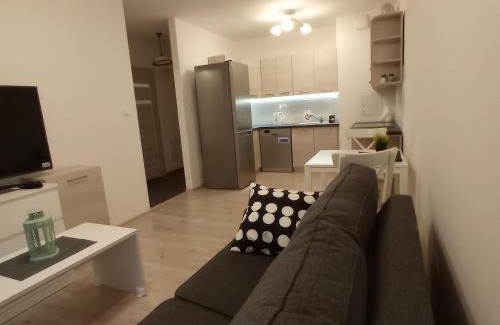 Lublin Apartment | Apartament Ruczaj 2